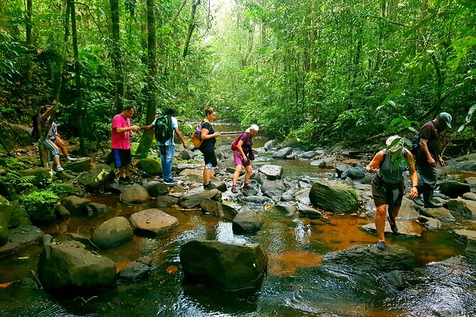 Sinharaja Rainforest Trek