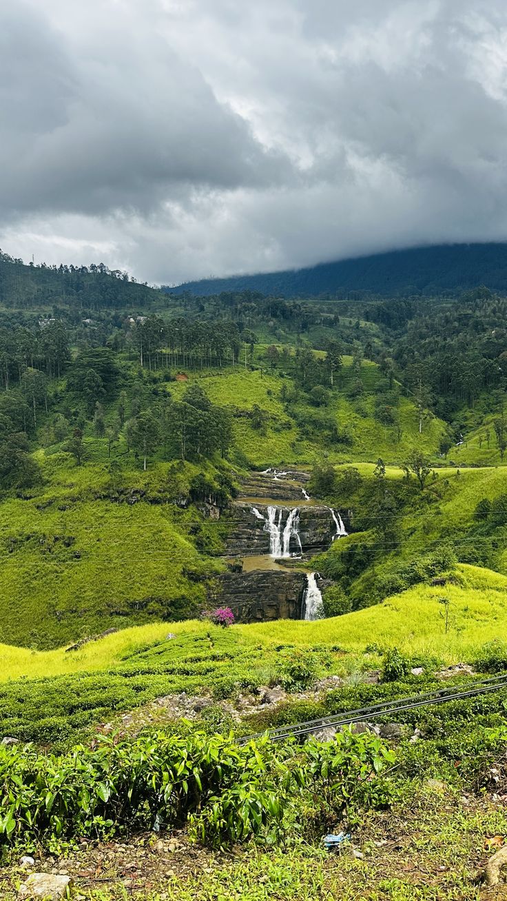 Nuwara Eliya